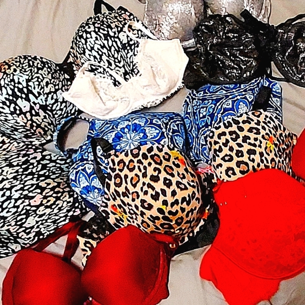 Lane Bryant Plus Size Bra's